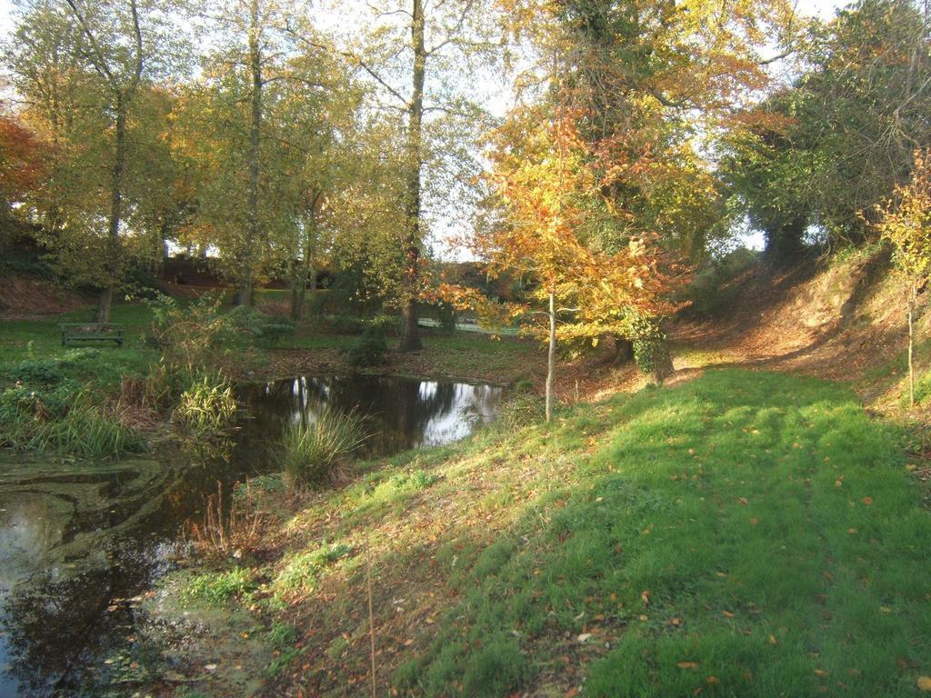 Coolanowle Self Catering Holiday Accommodation Carlow Luaran gambar