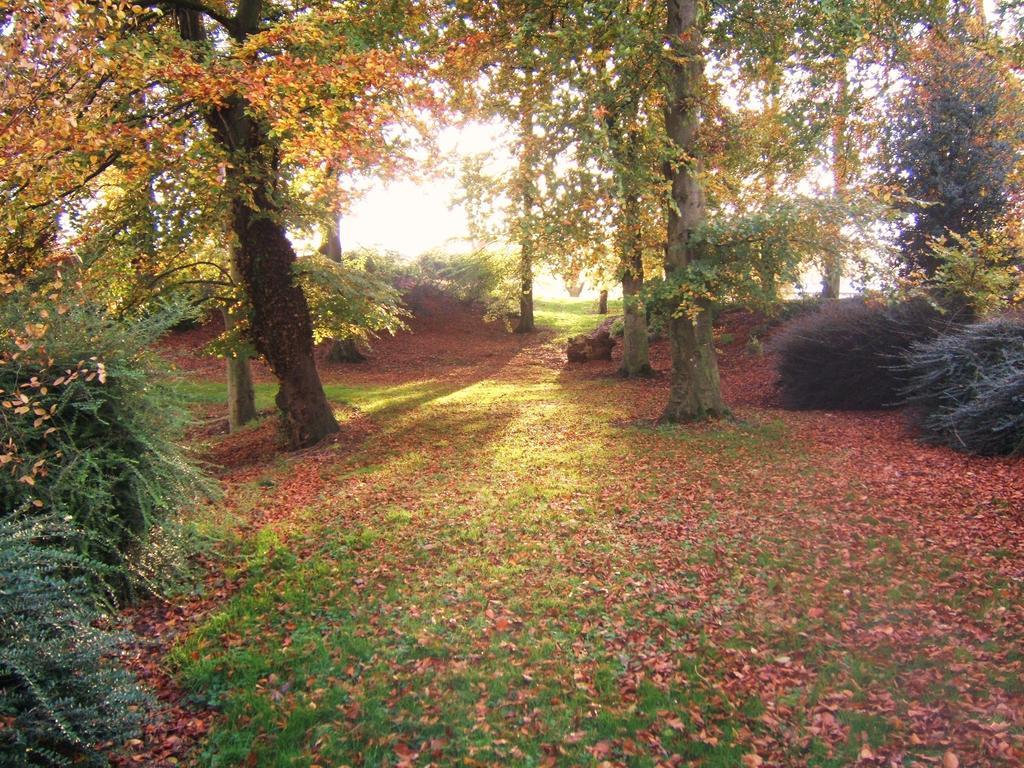Coolanowle Self Catering Holiday Accommodation Carlow Luaran gambar